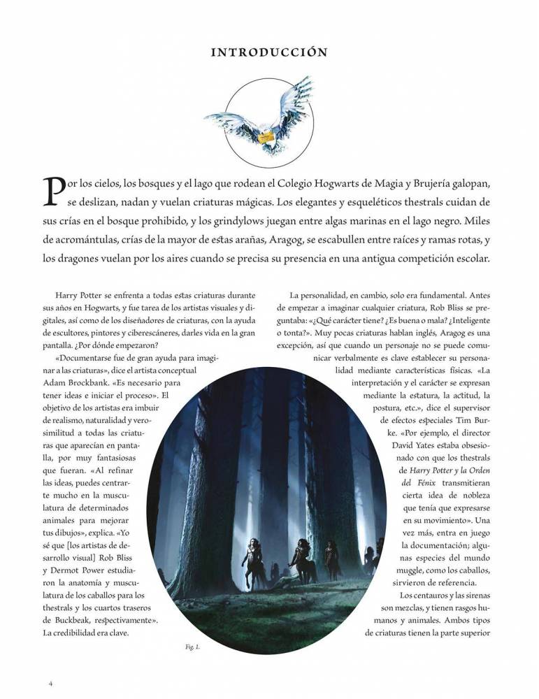 Harry Potter Los Archivos De Las Pel Culas Criaturas Del Bosque