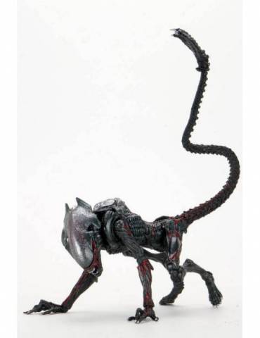 Figura Aliens: Night Cougar Alien (Kenner Tribute) 23 cm