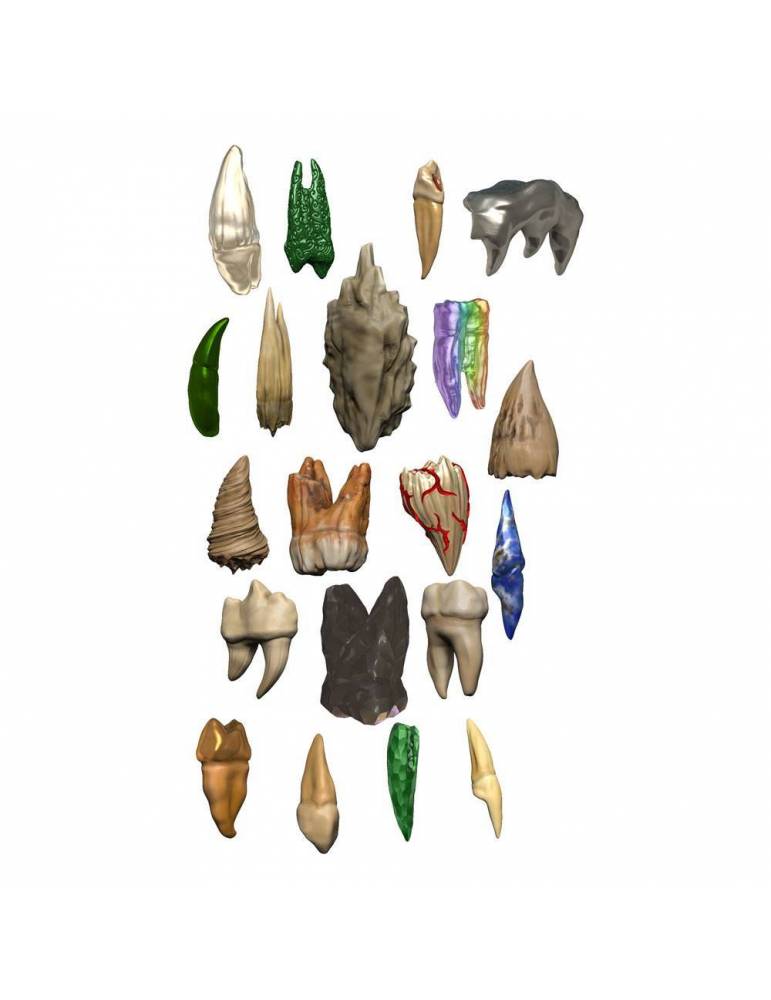D&D Icons of the Realms Miniaturas prepintadas Teeth of Dahlver-Nar Bite-Sized Artifact