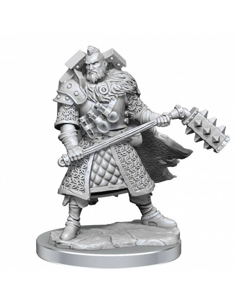 Dungeons & Dragons Frameworks Kit de modelo miniatura Human Fighter Male