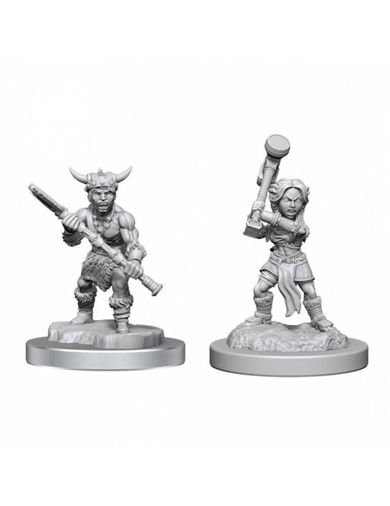 D&D Nolzur´s W18 Halfling Barbarians