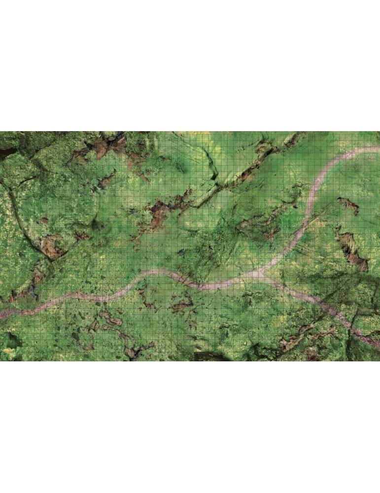 D&D Icons of the Realms: Plains Battle Mat