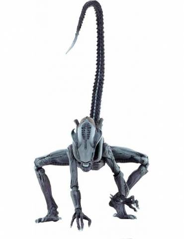 Figuras Alien Vs Predator Action Ficgure Alien Vs Predator Surtido 14 18 cm