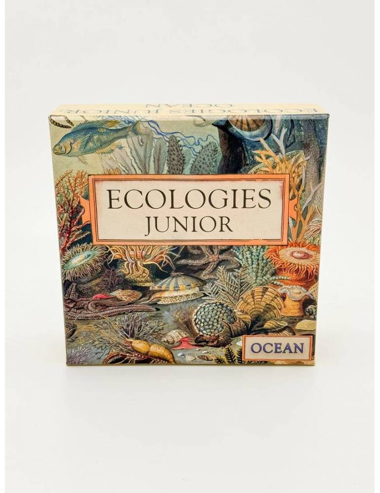 Ecologies Junior: Ocean