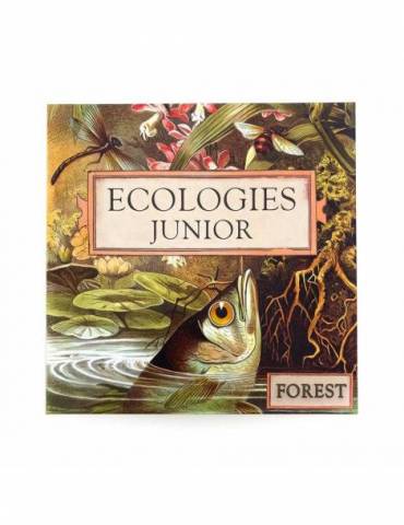 Ecologies Junior: Forest