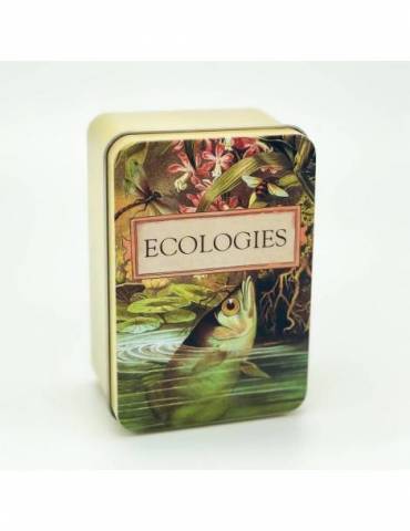 Ecologies: Tin Travel Box