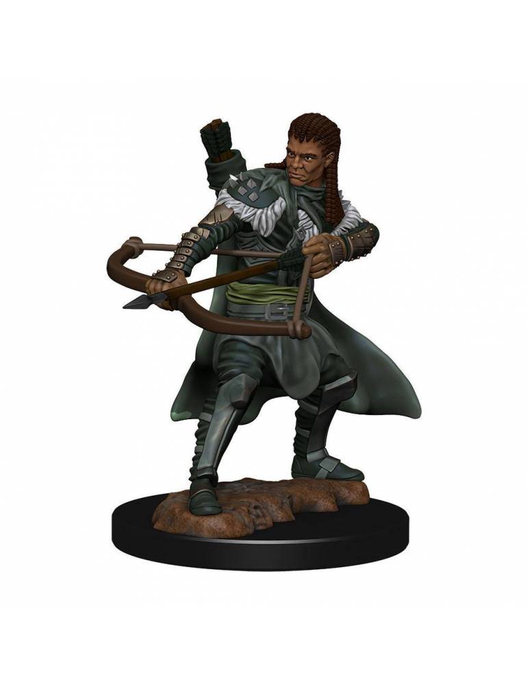 D&D Icons of the Realms: Human Ranger Male