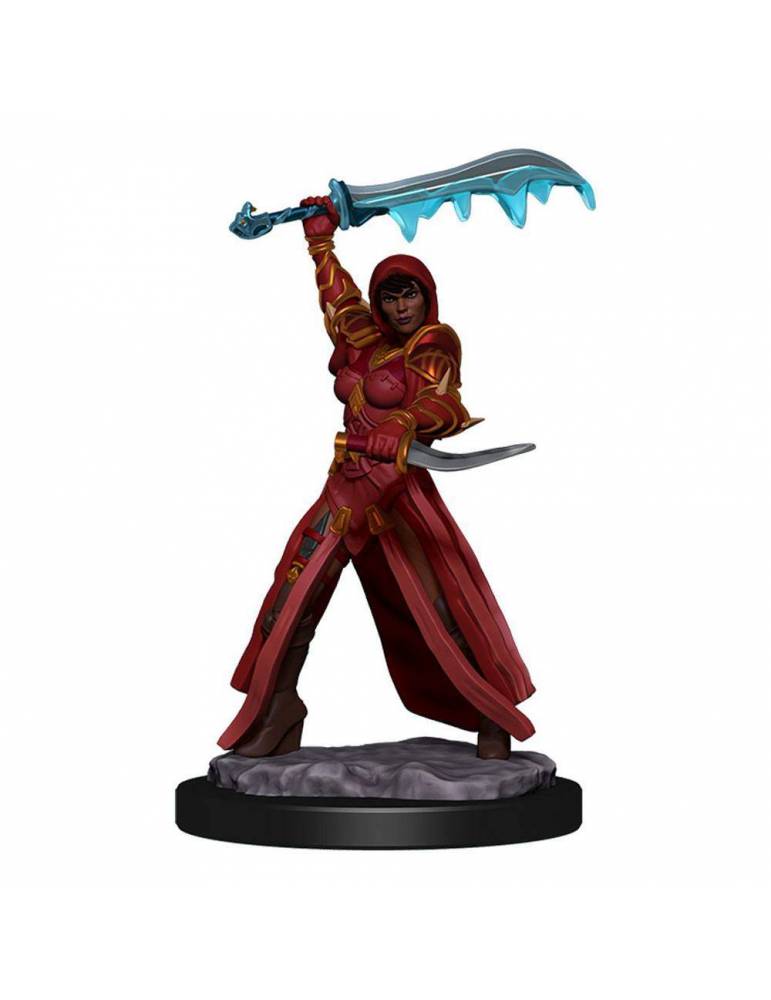 D&D Icons of the Realms: Human Rouge Female