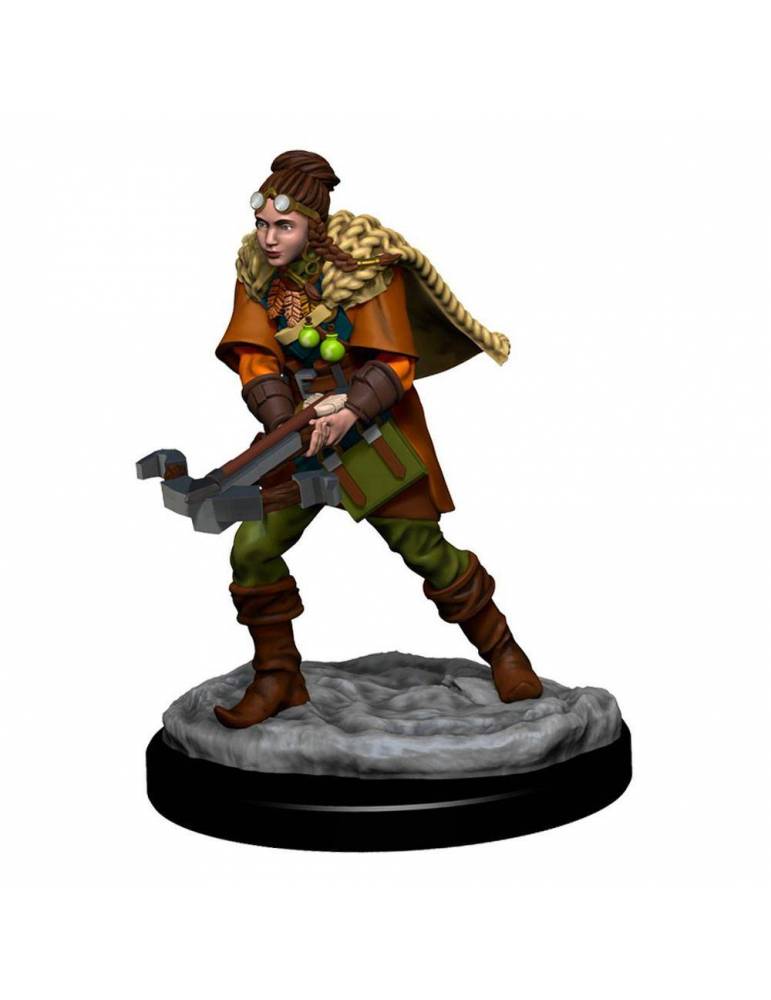 D&D Icons of the Realms: Human Ranger Female