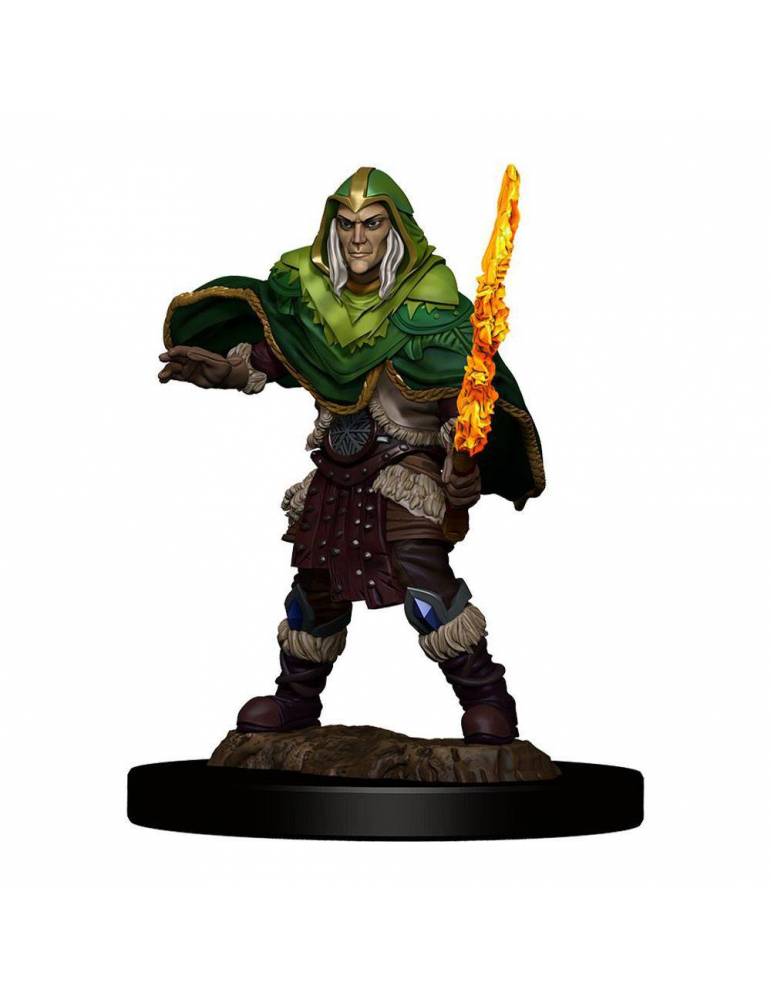 D&D Icons of the Realms: Elf Fighter Male