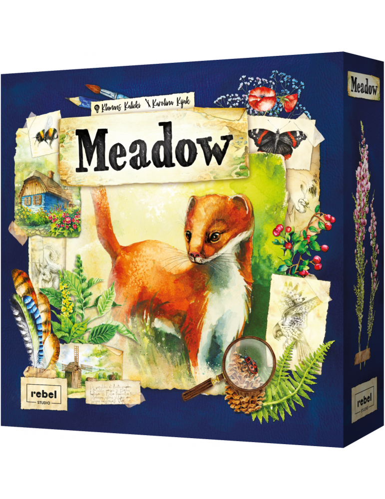 Meadow (Inglés)